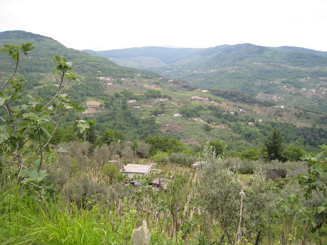 canneddha055