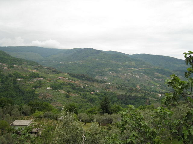 canneddha056