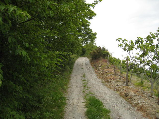 canneddha057