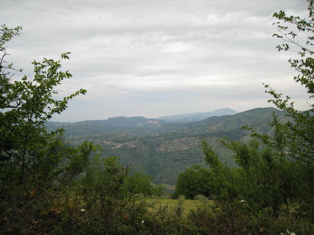 canneddha061