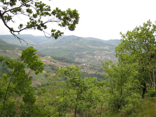 canneddha064