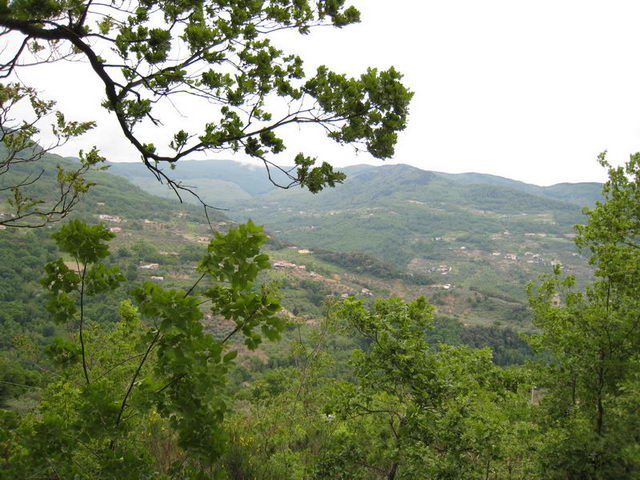 canneddha066