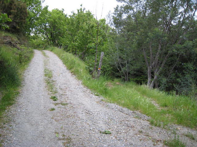 canneddha067