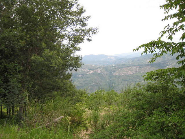 canneddha069