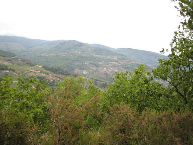 canneddha073