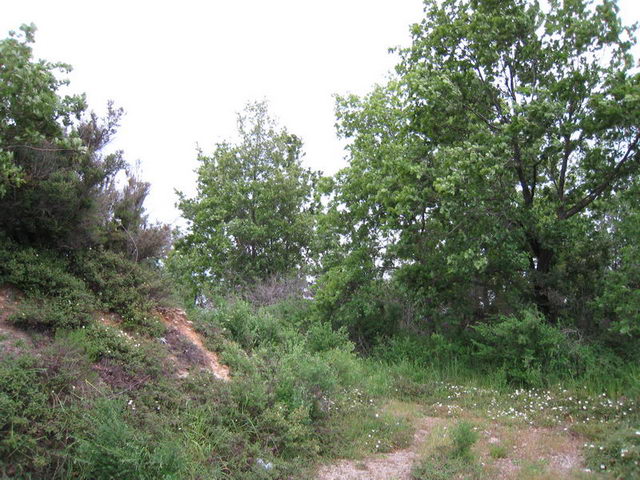 canneddha080