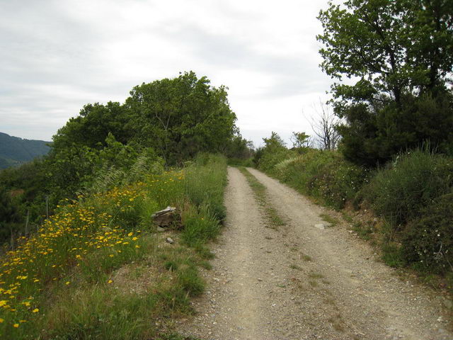 canneddha081