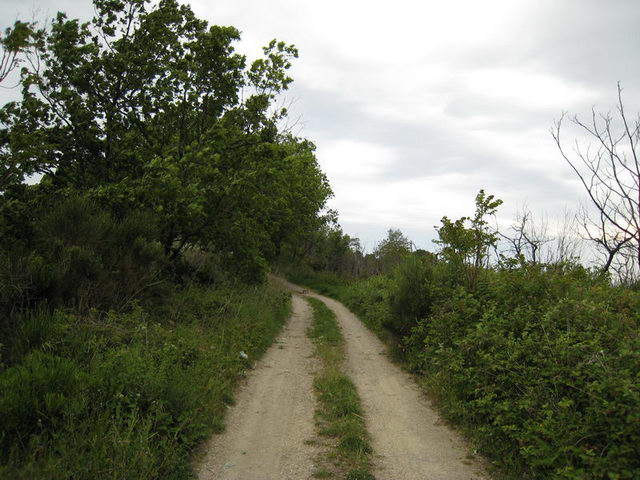 canneddha083
