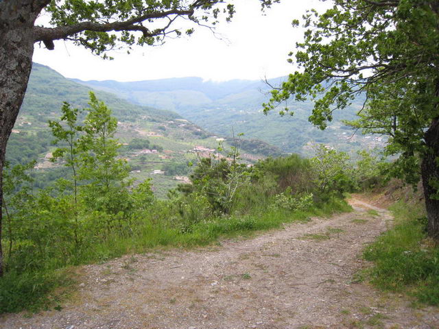 canneddha087