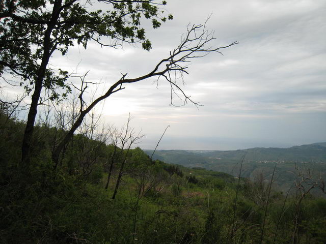 canneddha089