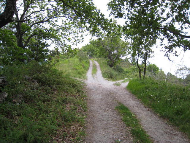 canneddha092