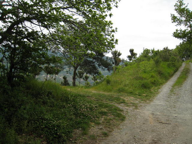 canneddha093