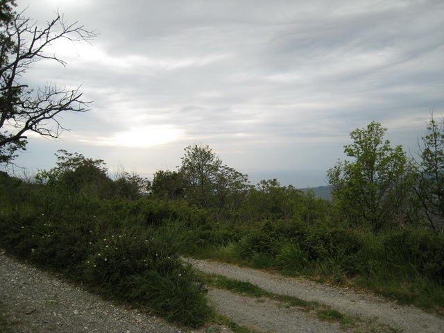 canneddha097