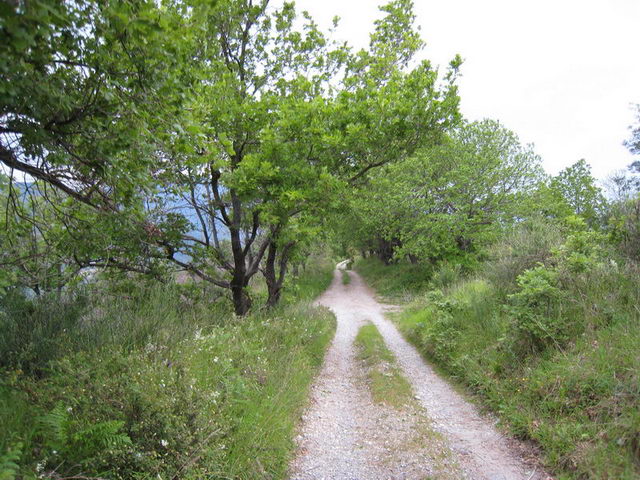 canneddha102