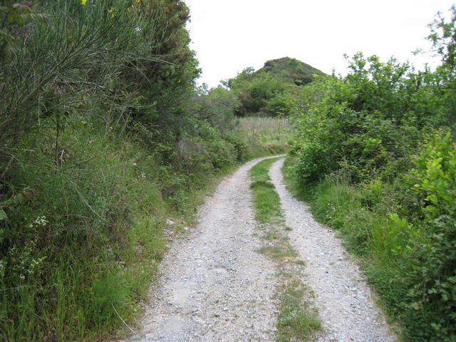 canneddha106