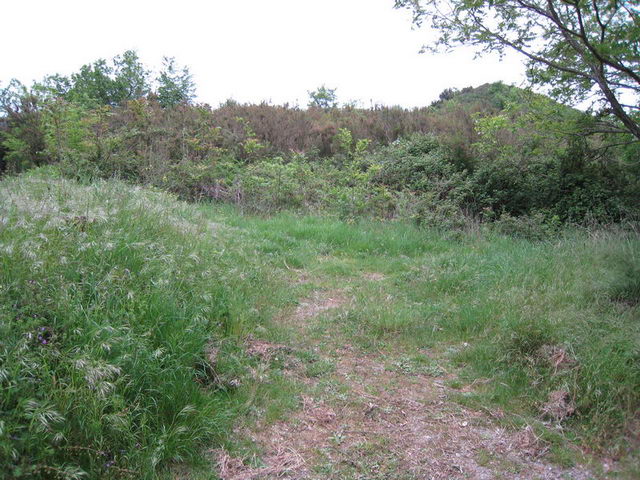 canneddha113