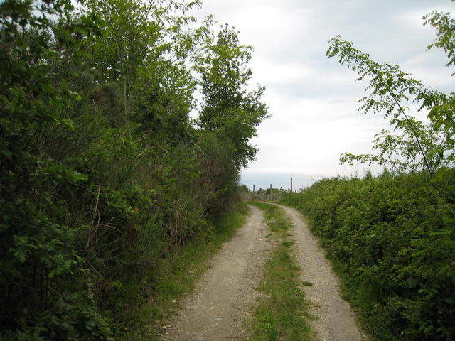 canneddha117