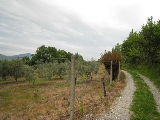 canneddha122