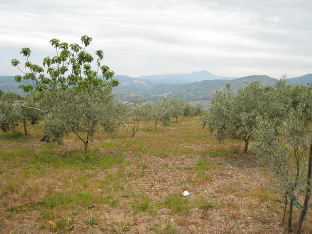 canneddha123