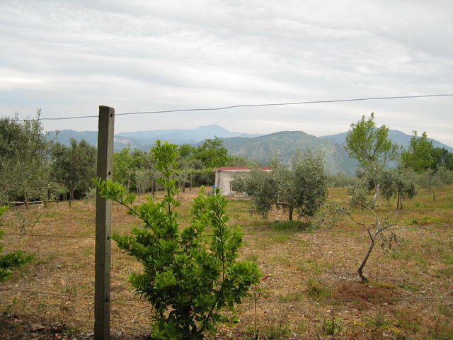 canneddha125