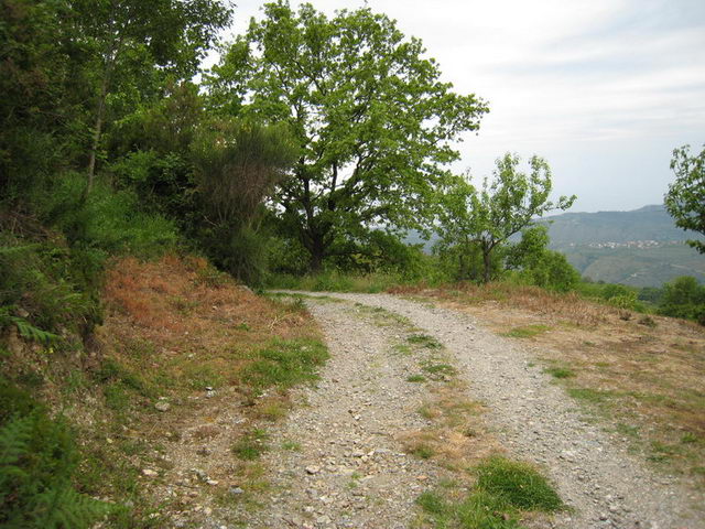 canneddha126
