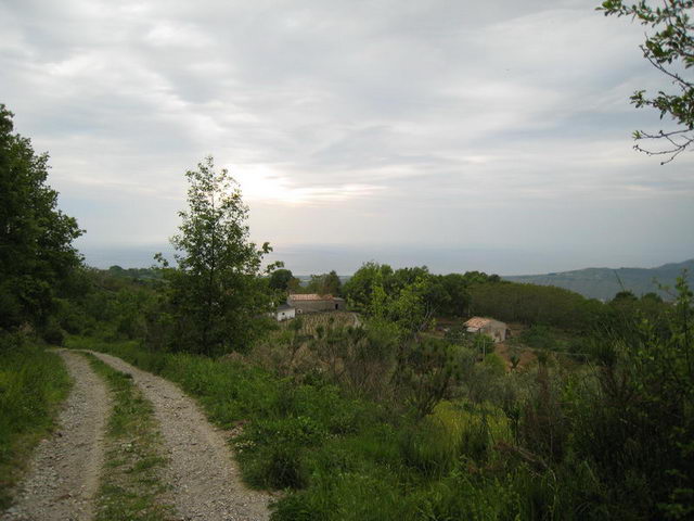 canneddha134