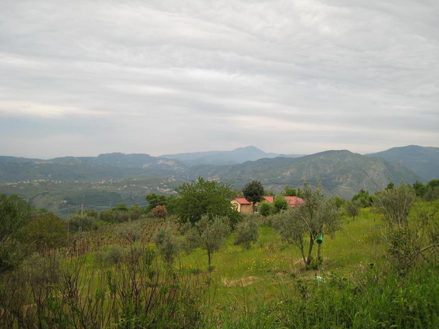 canneddha136