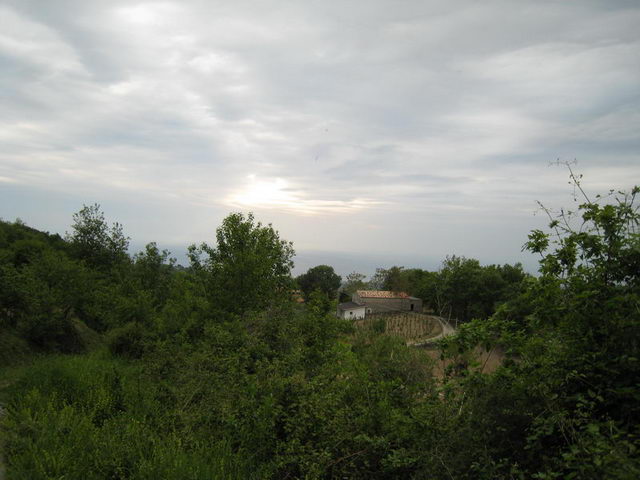 canneddha139