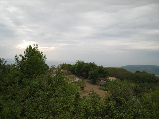 canneddha140
