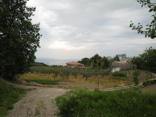 canneddha142
