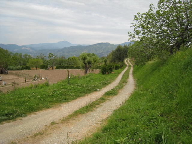 canneddha143