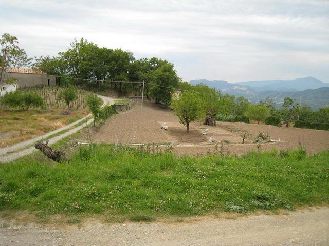 canneddha144