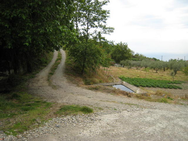 canneddha145