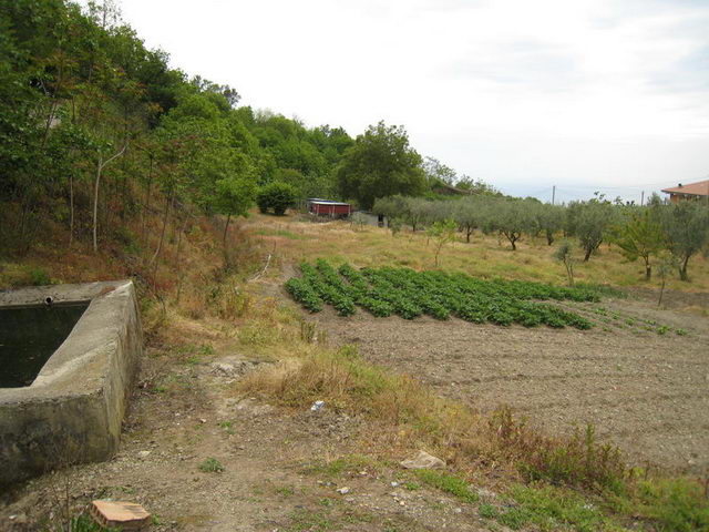 canneddha148