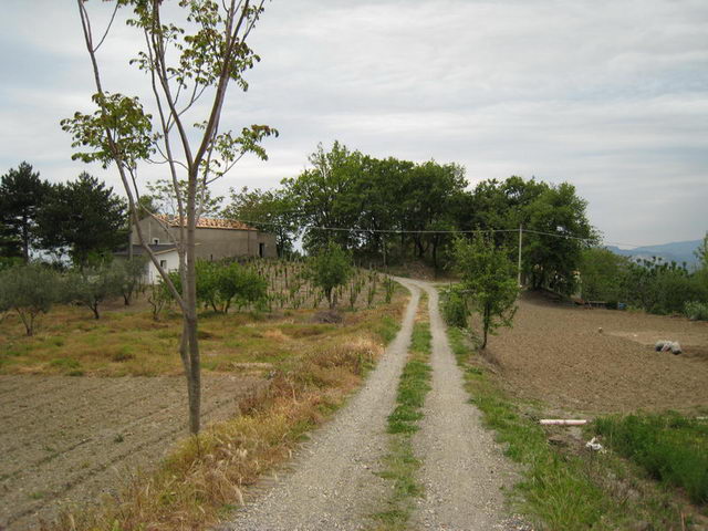 canneddha149