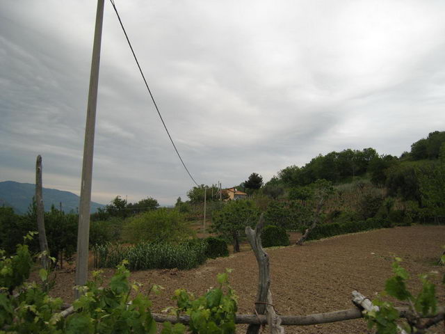 canneddha150