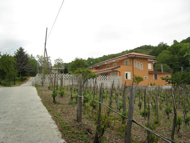 canneddha153