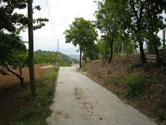 canneddha154