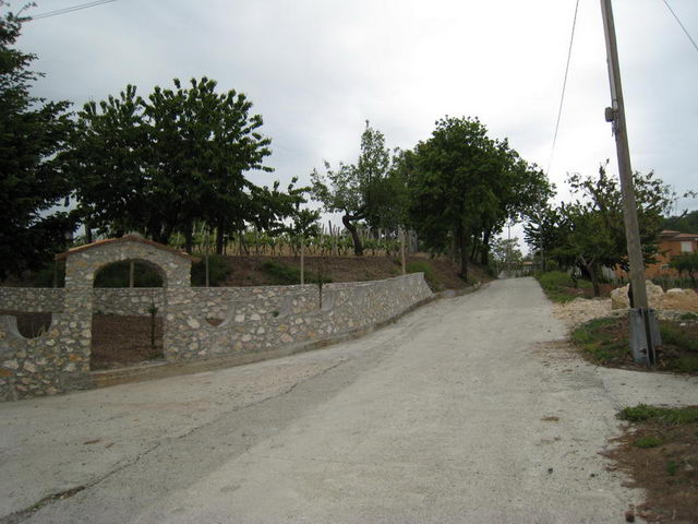 canneddha157