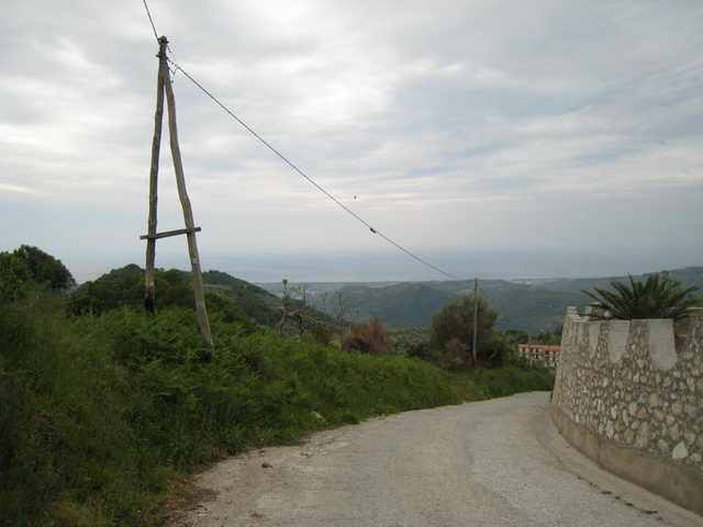 canneddha158
