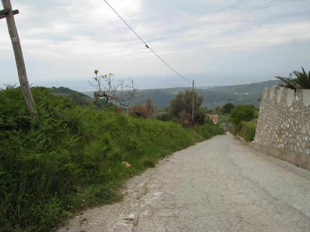 canneddha159