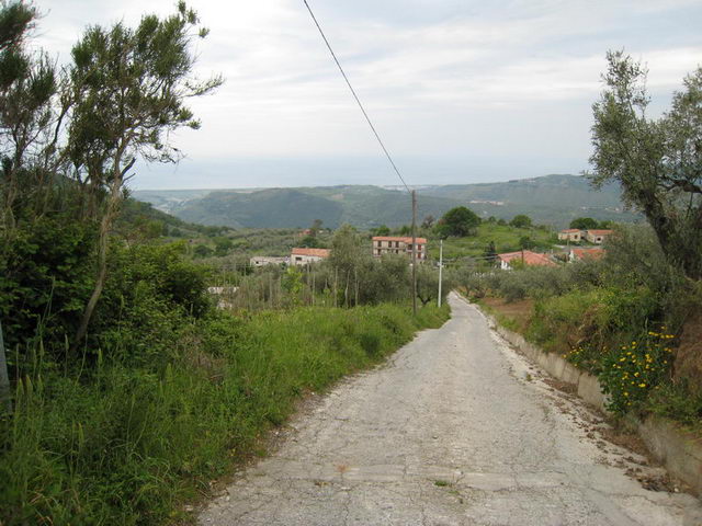 canneddha161