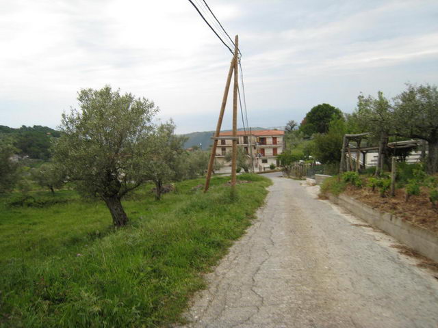 canneddha167