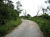 canneddha004