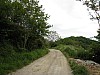 canneddha008