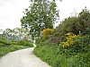 canneddha015