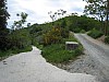 canneddha017