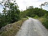 canneddha021