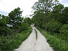 canneddha022