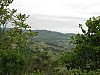 canneddha023